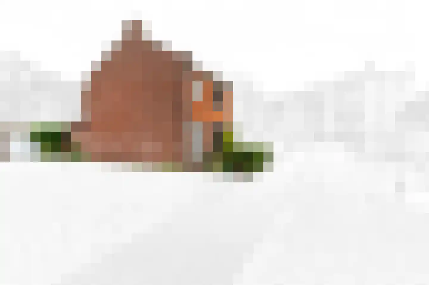 Wormerveerstraat 13 Den Haag thumbnail 6