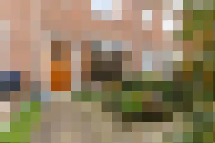 Wormerveerstraat 138 Den Haag thumbnail 5