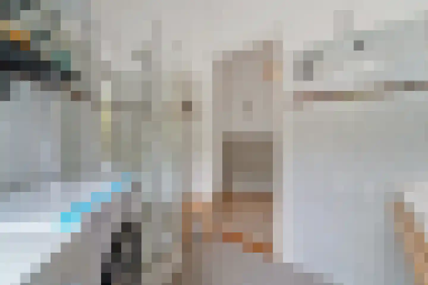 Wormerveerstraat 18 Den Haag thumbnail 15