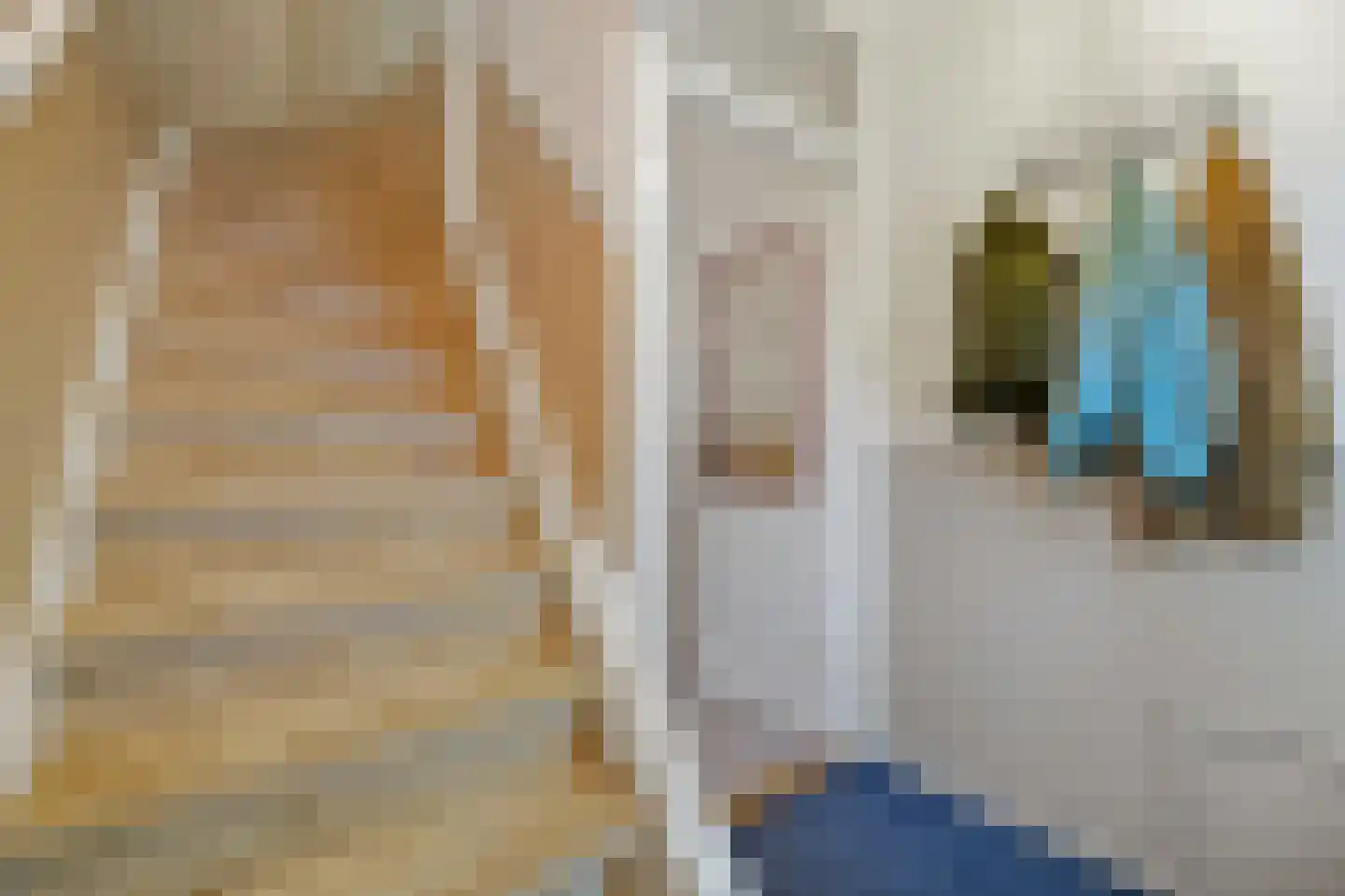 Wormerveerstraat 18 Den Haag thumbnail 18