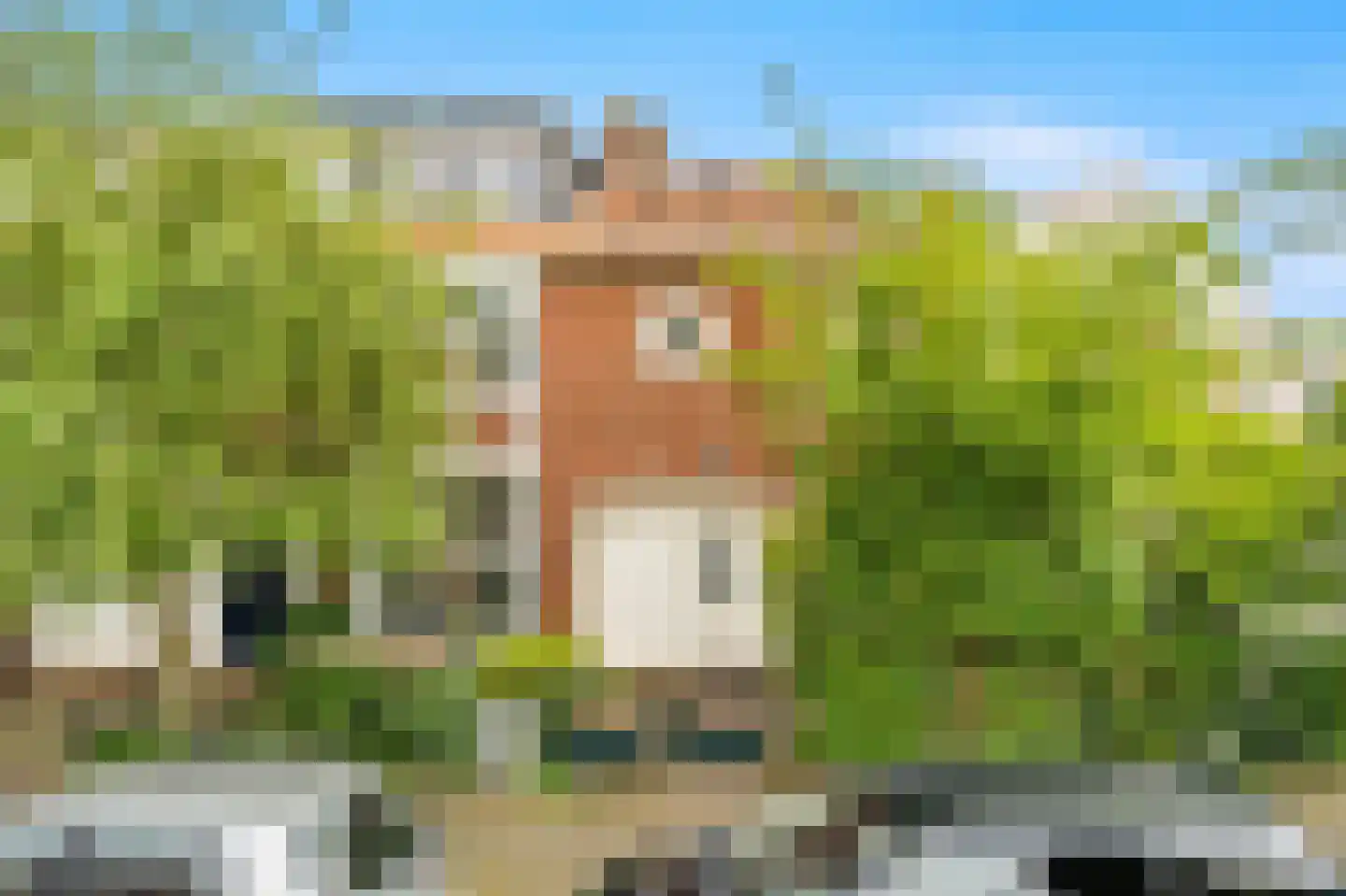 Wormerveerstraat 18 Den Haag thumbnail 42