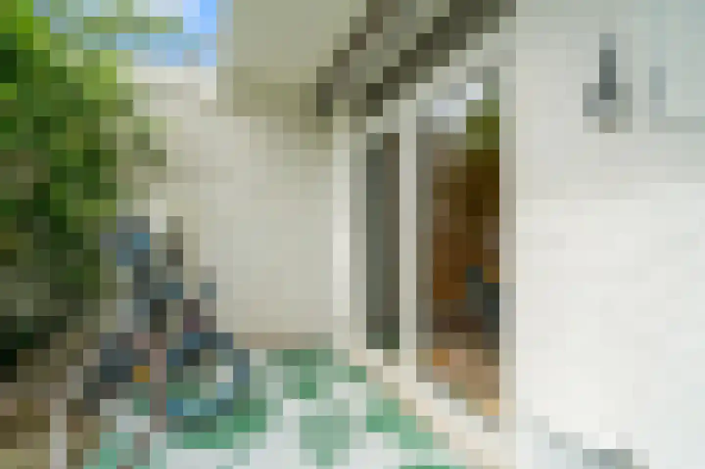 Wormerveerstraat 18 Den Haag thumbnail 9