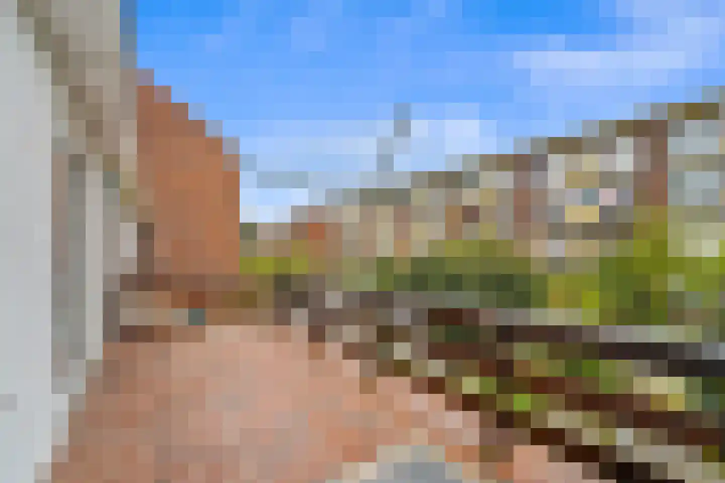 Wormerveerstraat 222 Den Haag thumbnail 26