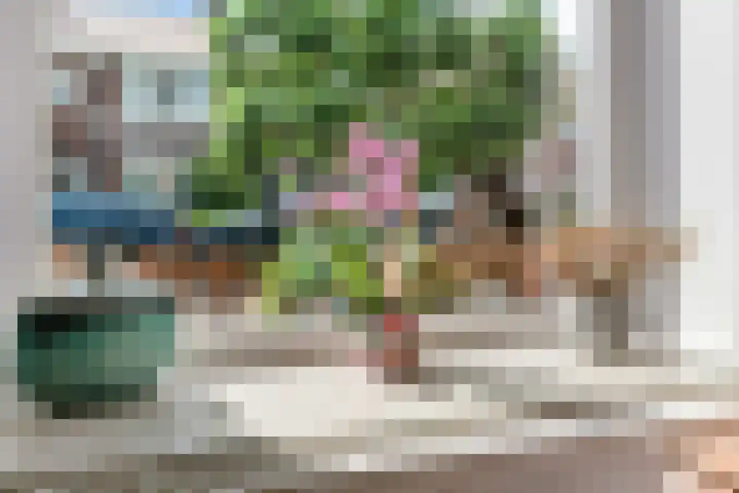 Wormerveerstraat 45 Den Haag thumbnail 15
