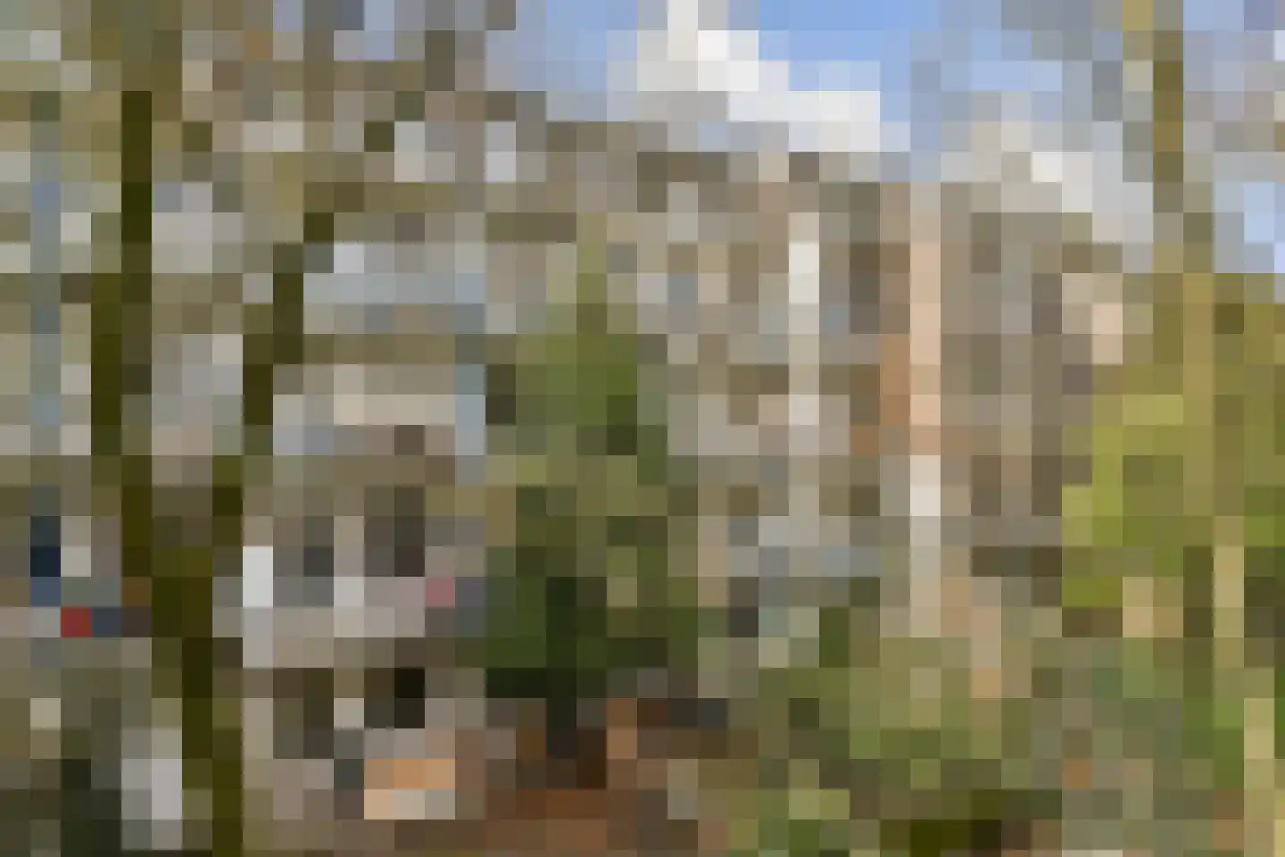 Wormerveerstraat 5 3 Amsterdam thumbnail 16