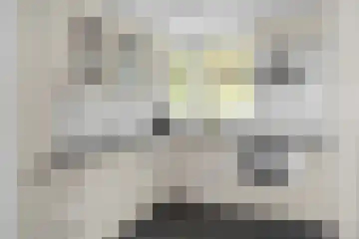 Wormerveste 5 Nieuwegein thumbnail 12