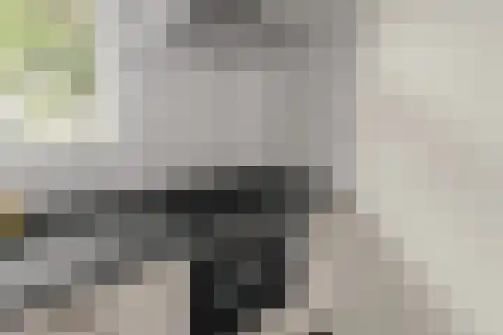 Wormerveste 5 Nieuwegein thumbnail 13