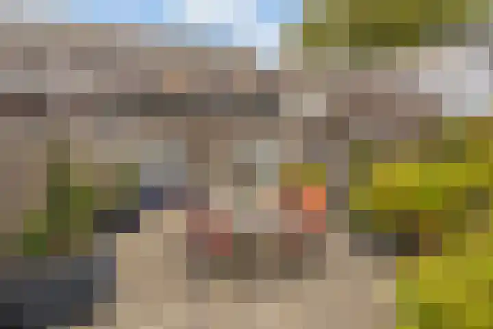 Wormerveste 5 Nieuwegein thumbnail 16
