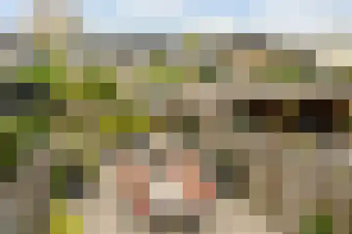 Wormerveste 5 Nieuwegein thumbnail 25
