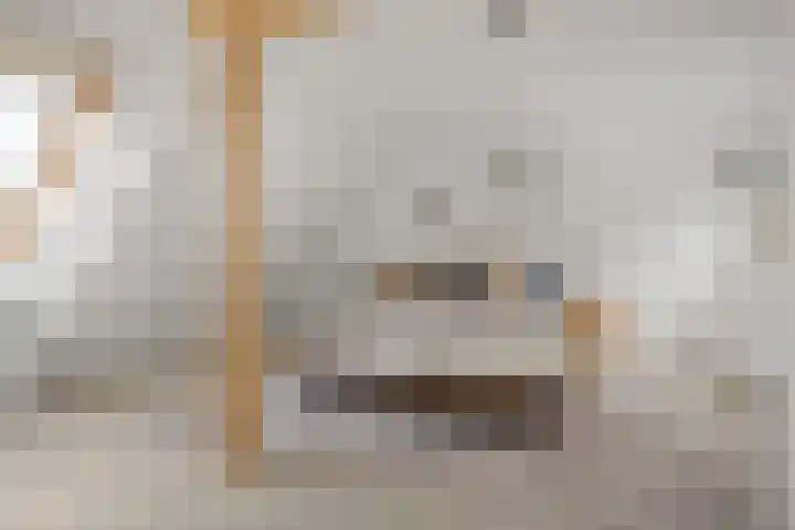Wormerveste 5 Nieuwegein thumbnail 26