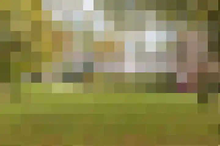 Wormerveste 5 Nieuwegein thumbnail 29