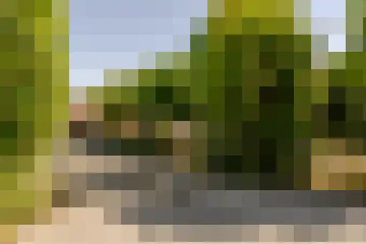 Wormerweg 17 Westbeemster thumbnail 10