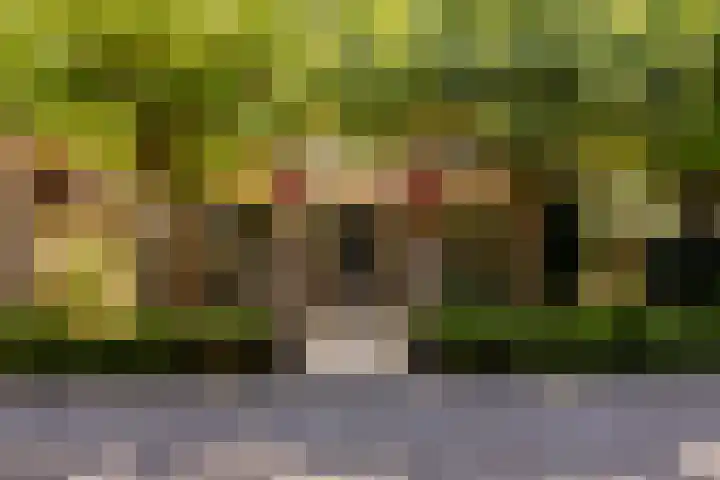 Wormerweg 17 Westbeemster thumbnail 13