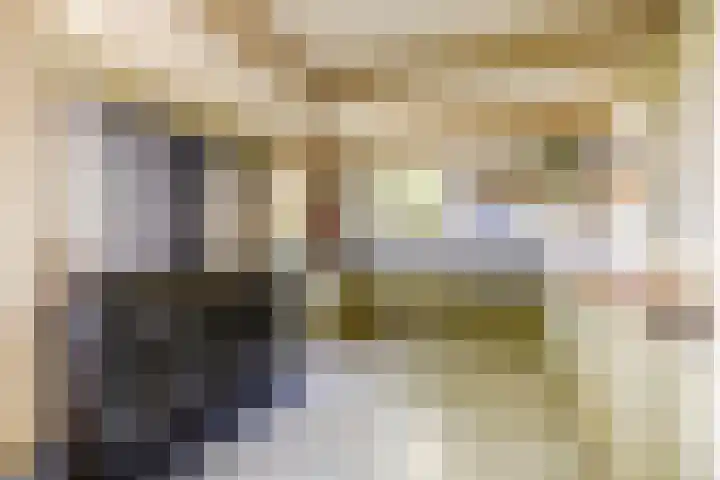 Wormerweg 17 Westbeemster thumbnail 23