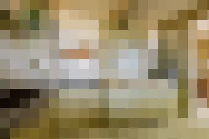 Wormerweg 17 Westbeemster thumbnail 25