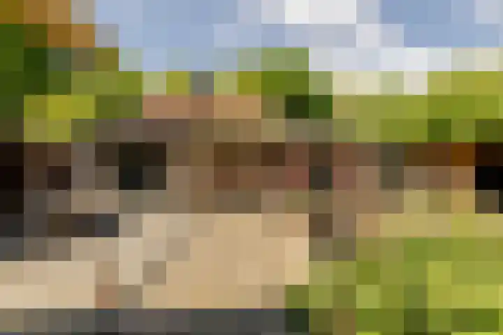 Wormerweg 17 Westbeemster thumbnail 41