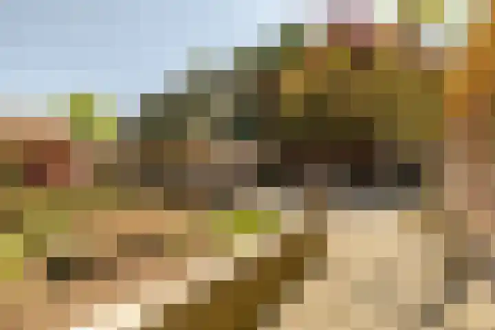 Wormerweg 17 Westbeemster thumbnail 44