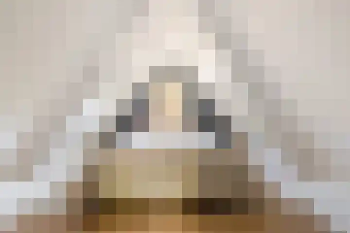 Wormerweg 17 Westbeemster thumbnail 51