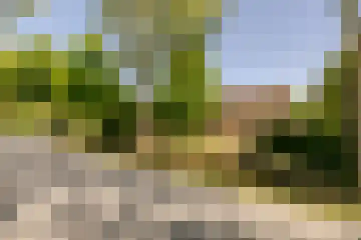 Wormerweg 17 Westbeemster thumbnail 7