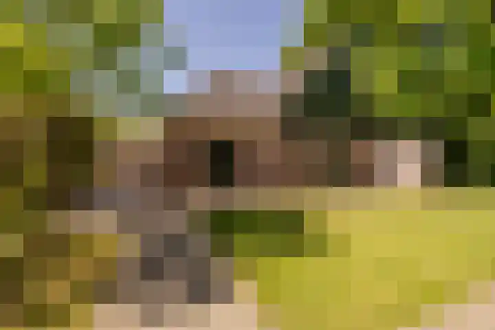 Wormerweg 17 Westbeemster thumbnail 74