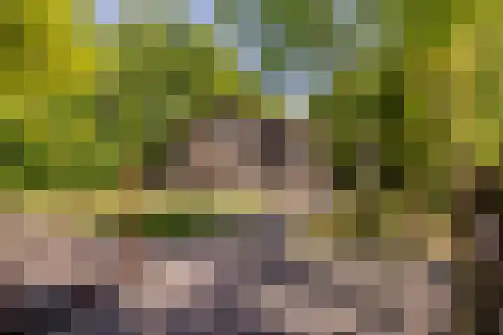 Wormerweg 17 Westbeemster thumbnail 75