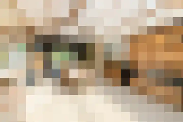 Wormerweg 17 Westbeemster thumbnail 77