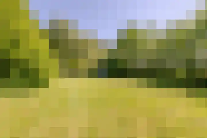 Wormerweg 17 Westbeemster thumbnail 81