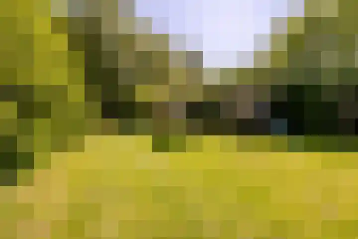 Wormerweg 17 Westbeemster thumbnail 82