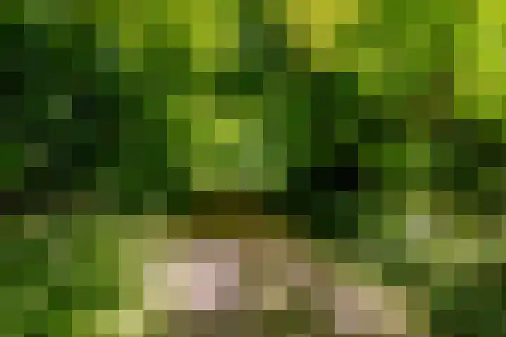 Wormerweg 17 Westbeemster thumbnail 84