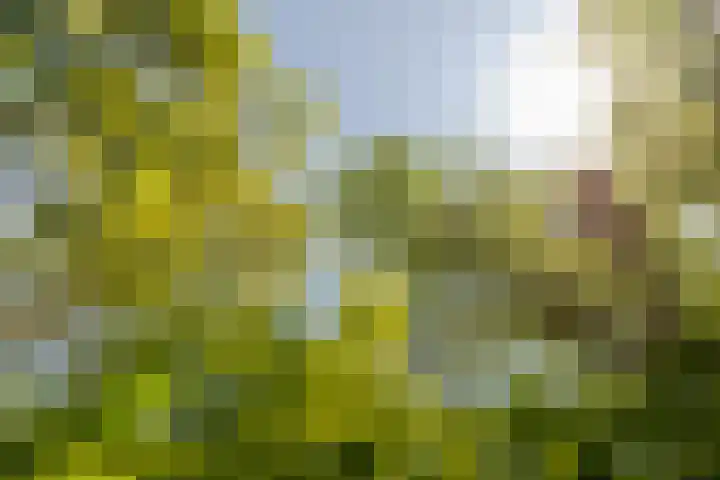 Wormerweg 17 Westbeemster thumbnail 87
