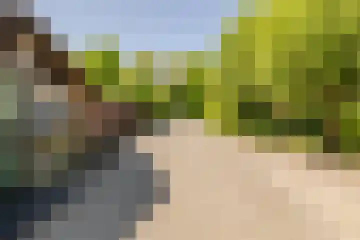 Wormerweg 17 Westbeemster thumbnail 89