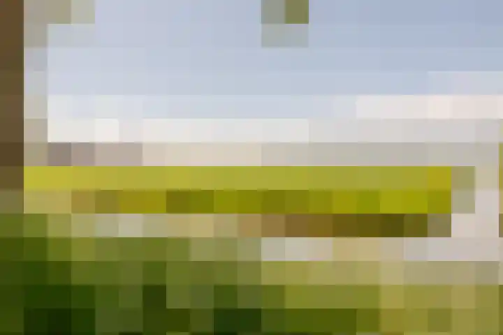 Wormerweg 17 Westbeemster thumbnail 91