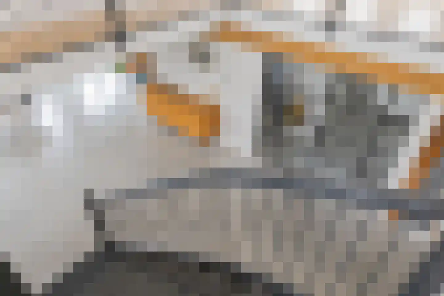Wormerweg 20 Westbeemster thumbnail 32