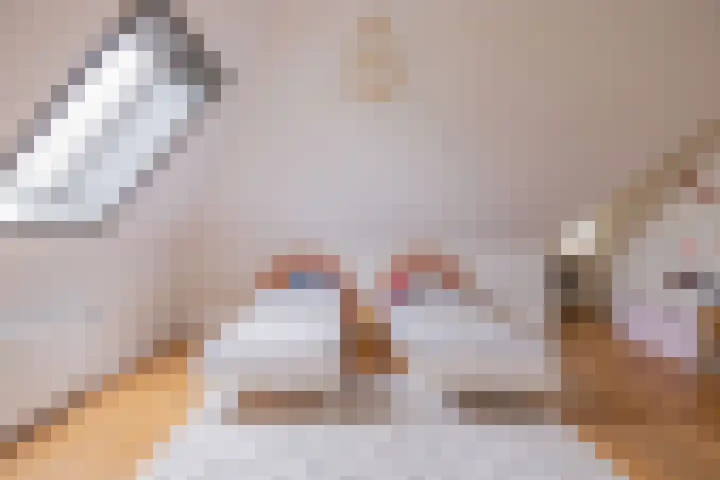 Wormerweg 20 Westbeemster thumbnail 37