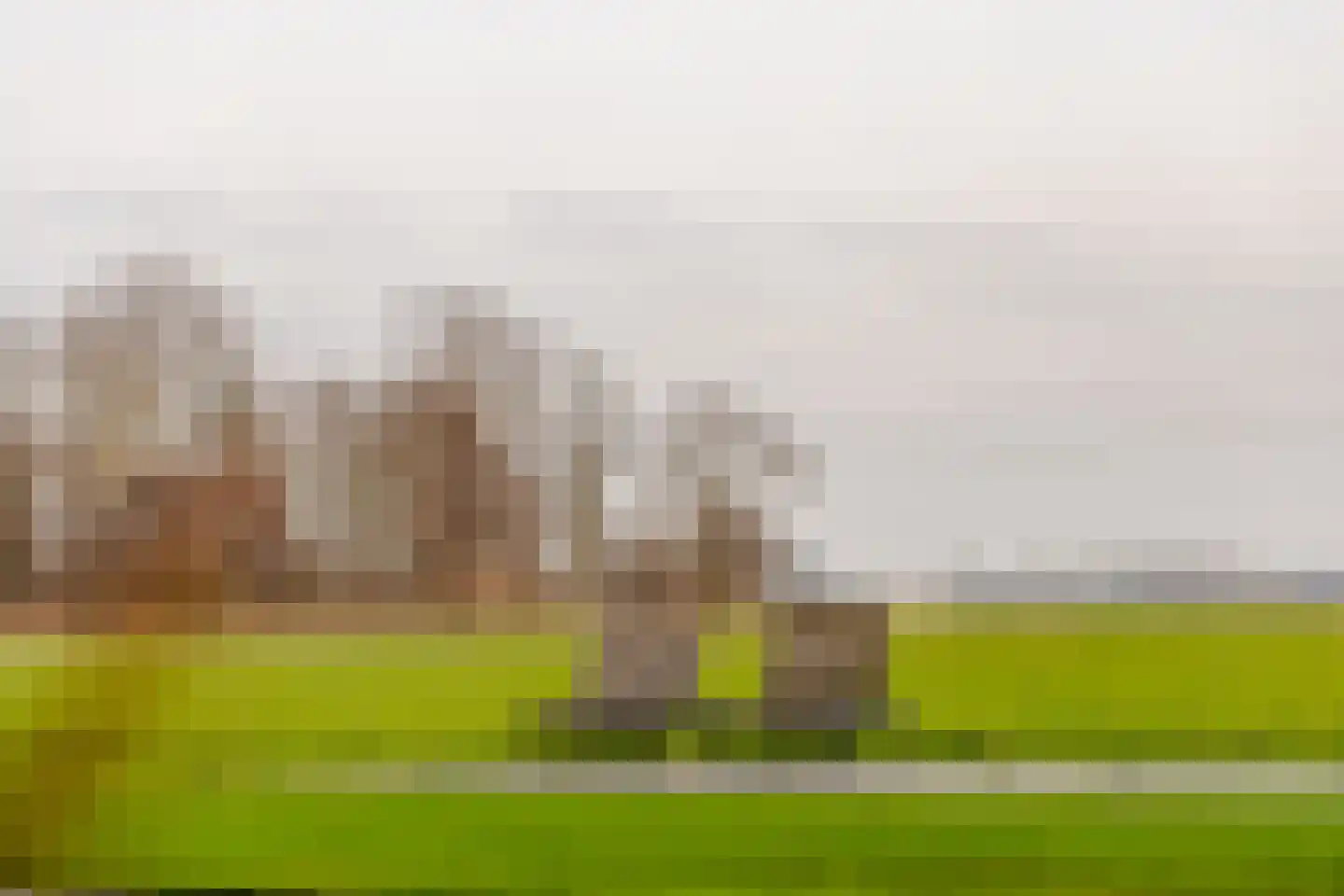 Wormerweg 20 Westbeemster thumbnail 47