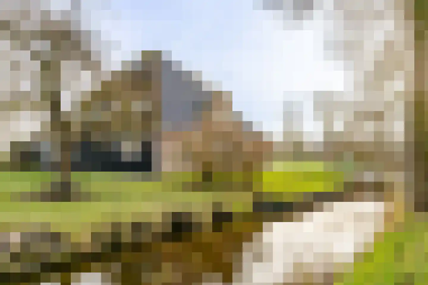 Wormerweg 20 Westbeemster thumbnail 52