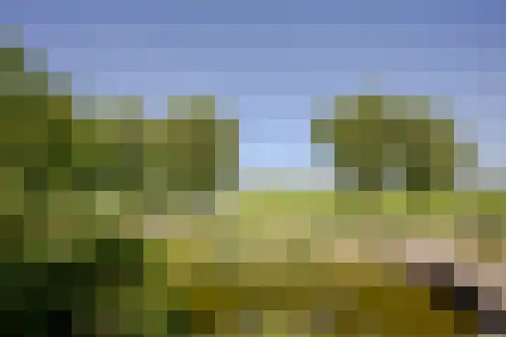 Wormerweg 22 A Westbeemster thumbnail 23