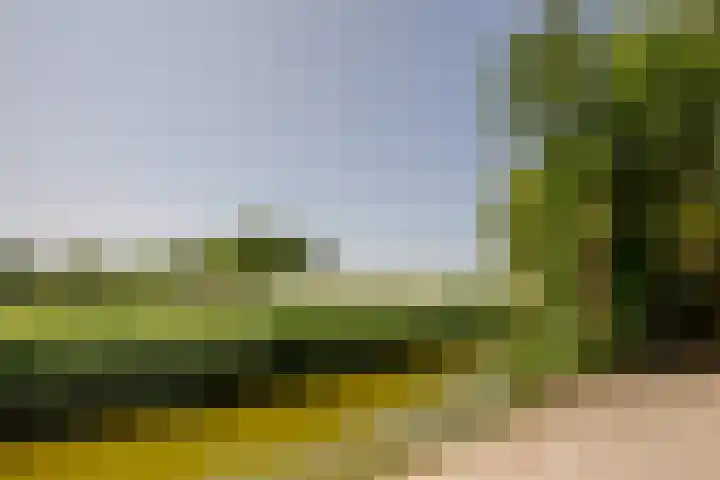 Wormerweg 22 A Westbeemster thumbnail 32