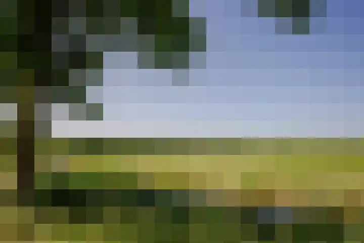 Wormerweg 22 A Westbeemster thumbnail 34