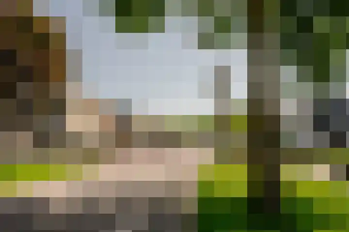 Wormerweg 22 A Westbeemster thumbnail 35