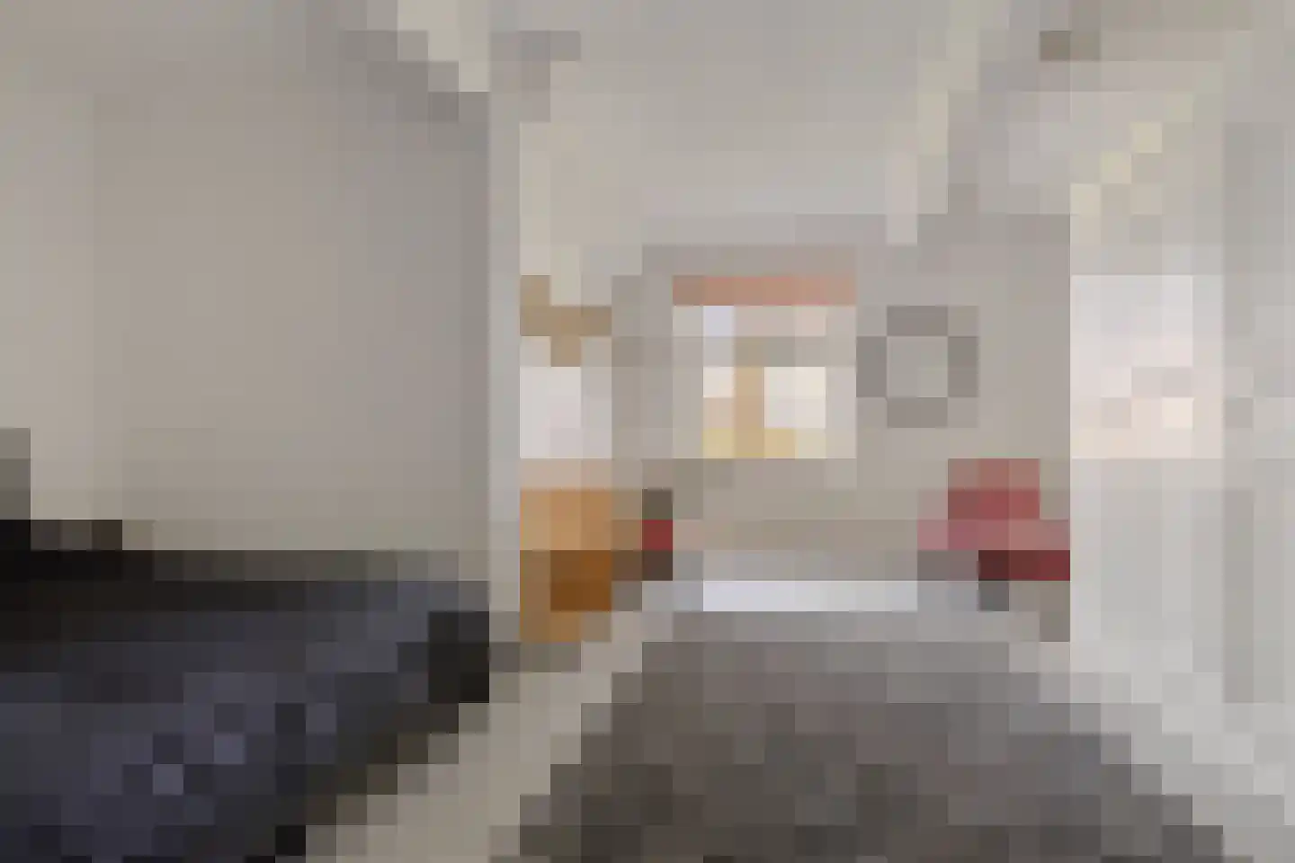 Wormerweg 34 Westbeemster thumbnail 20