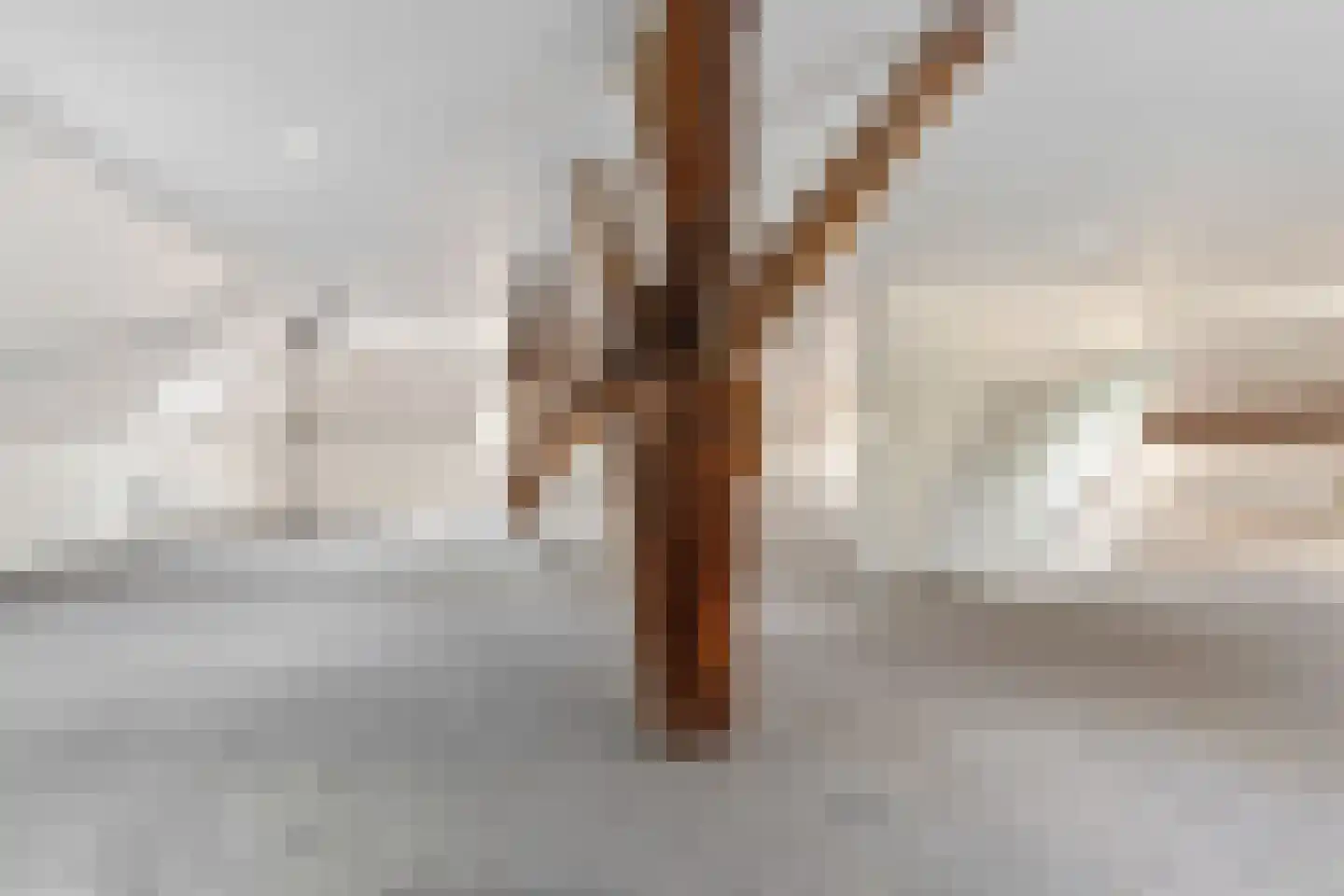Wormerweg 34 Westbeemster thumbnail 28