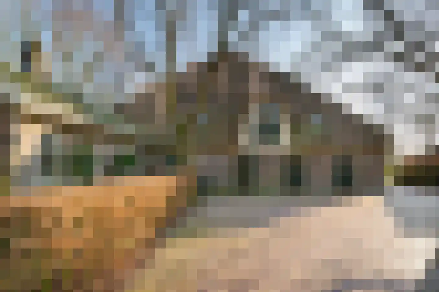 Wormerweg 34 Westbeemster thumbnail 4