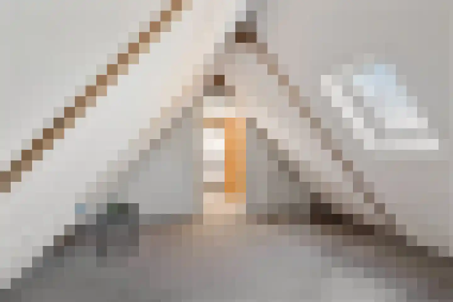 Wormerweg 34 Westbeemster thumbnail 47