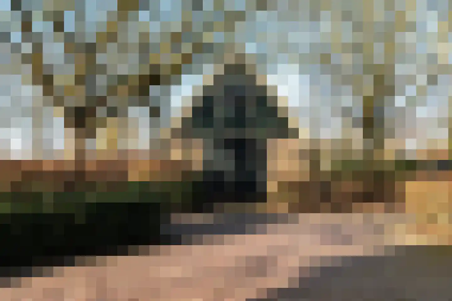 Wormerweg 34 Westbeemster thumbnail 58