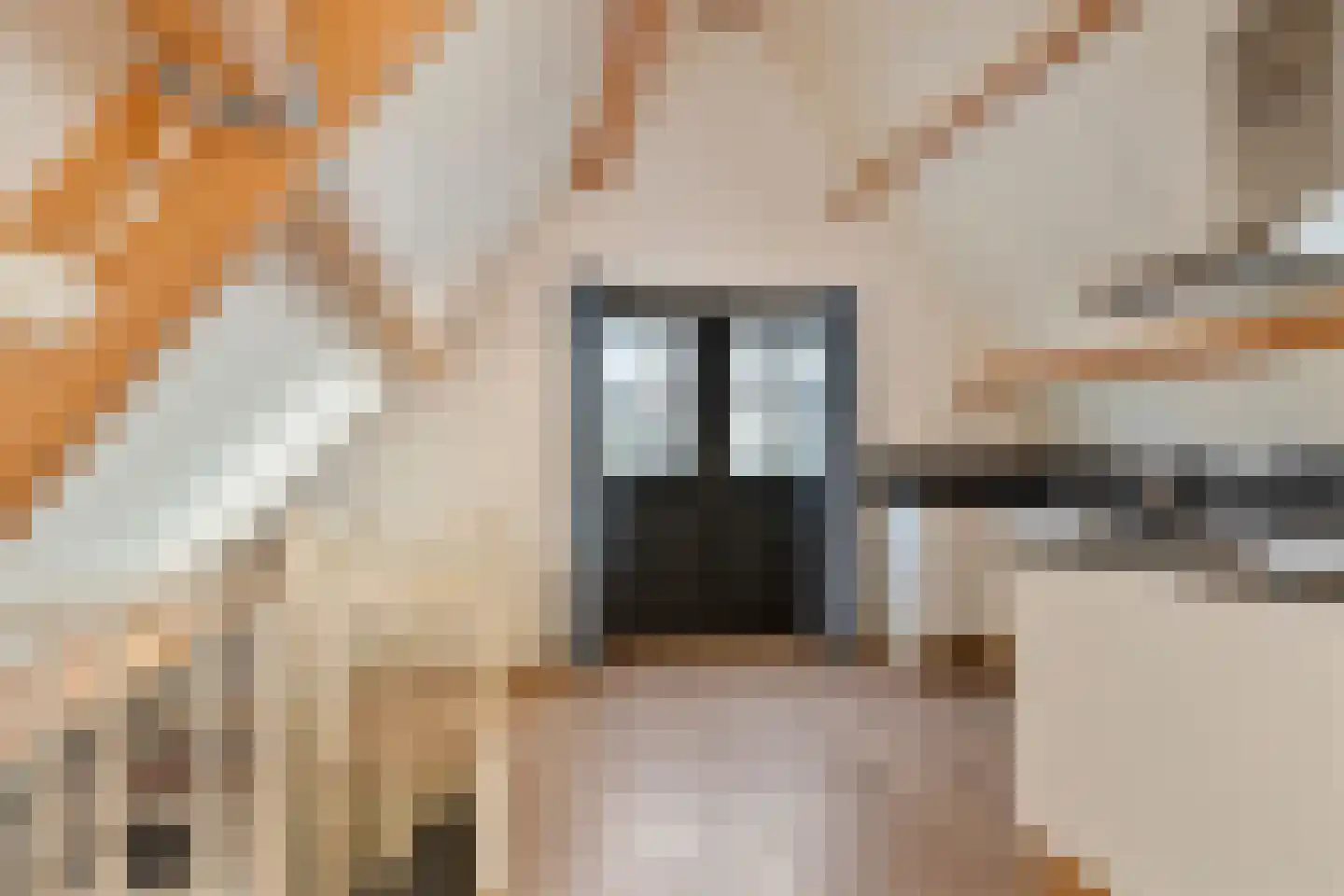 Wormerweg 34 Westbeemster thumbnail 67