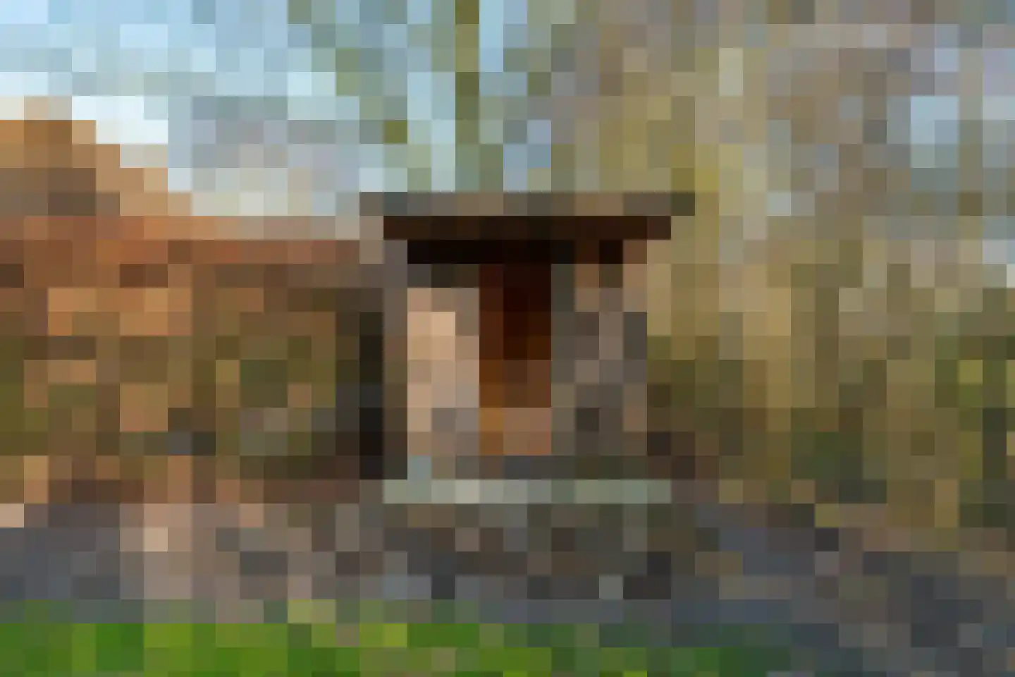 Wormerweg 34 Westbeemster thumbnail 71