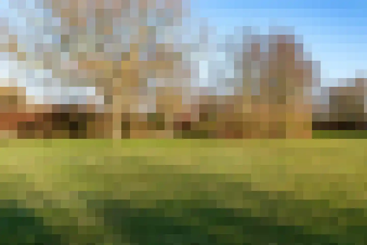 Wormerweg 34 Westbeemster thumbnail 75