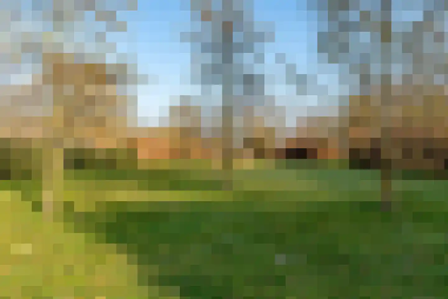 Wormerweg 34 Westbeemster thumbnail 76