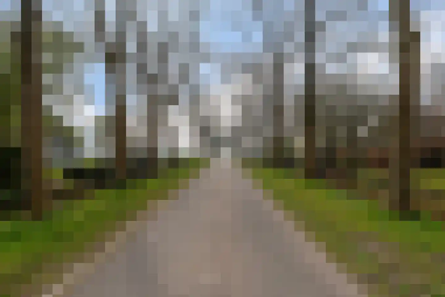 Wormerweg 34 Westbeemster thumbnail 80